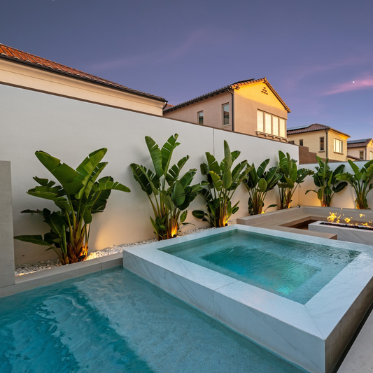 The Best Way to Prevent Algae