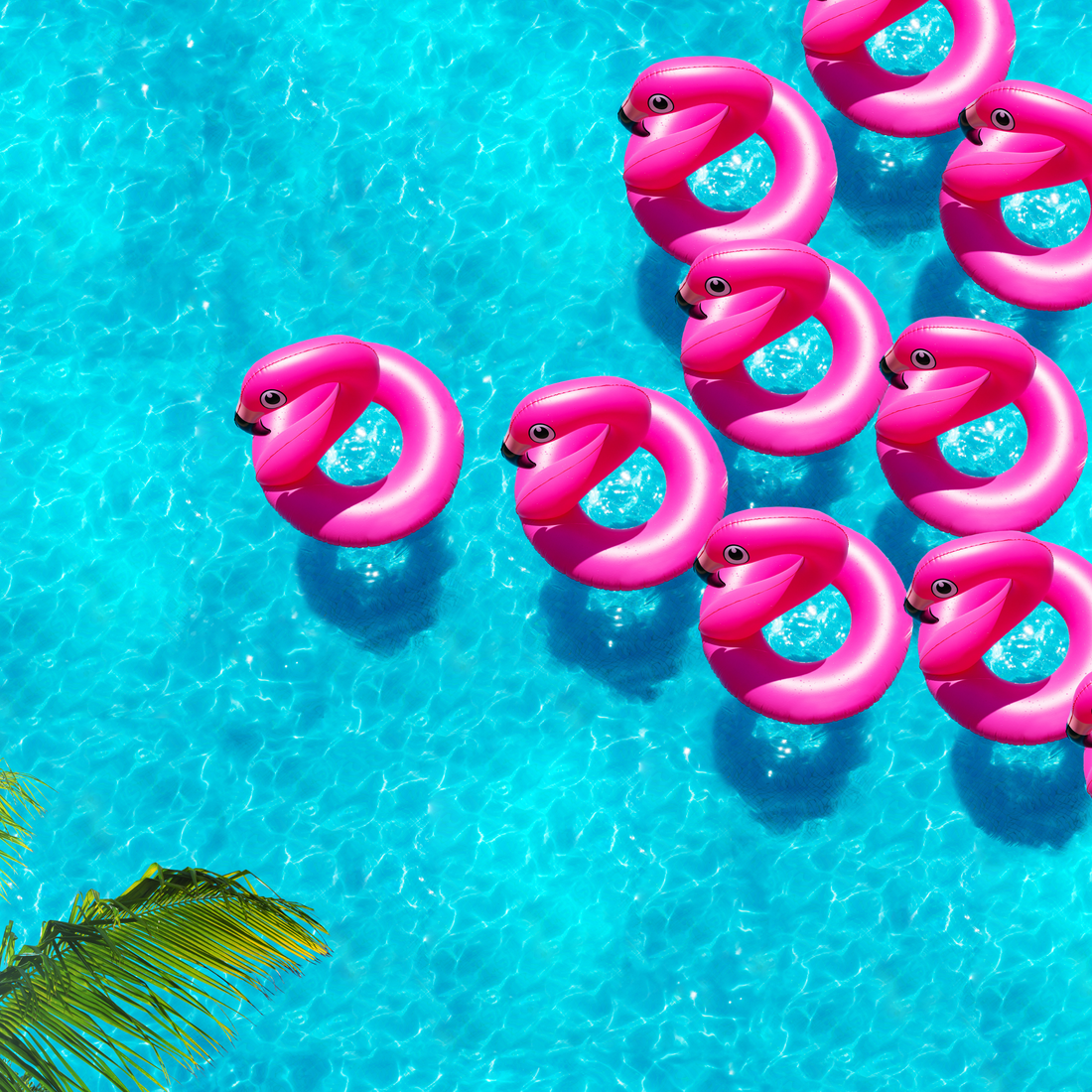 Stop Algae Blooms in TX Heat